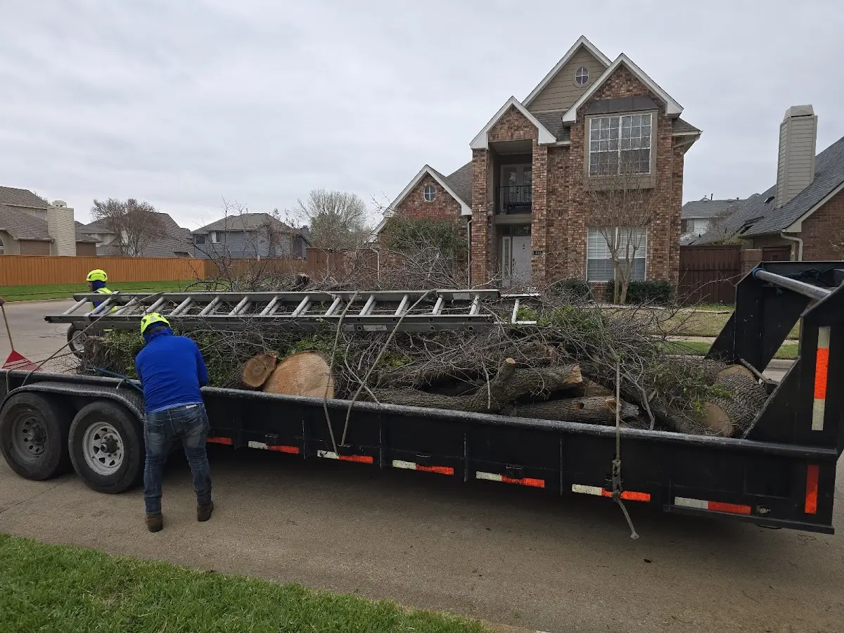 Expert Tree Pest Control with proper safety equipment in Marine City